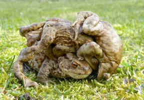 Фотоподборка за 21.10.2016