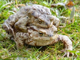 Фотоподборка за 21.10.2016