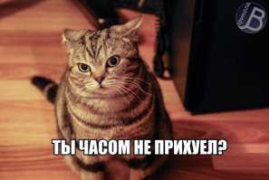 И тут работники офиса поняли, что за ними кто-то следит