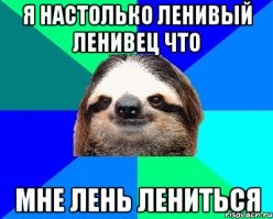 Самые лучшие фотографии в честь Всемирного дня ленивца