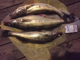 Эх Родина моя) Город откровенно плох только в инфраструктурном плане и только из-за управленцев, но там живут люди привычные...Откровенно говоря я бы добавил бы к этой подборке вот эту фото - тоже Саратов.