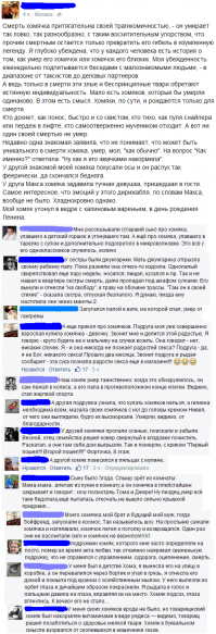 Оставшейся без хозяев лысой хомячихе подарили теплый свитер