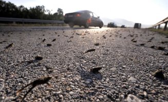 Даже думать боюсь что там будет