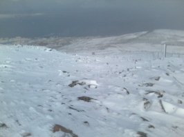 Ну вот например сентябрь 2016, сопка над Певеком... Прошу прощения за качество, снимал на телефон, т.к машина не взобралась и пришлось пешком туда взбираться....