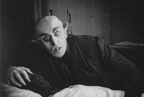 Знакомьтесь, бровастая кошка по кличке Лилли  