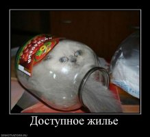 Квартира без ипотеки