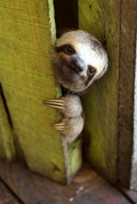 Да уж, выйдешь такой с утра во двор покурить, а тут, -"слыш, сигаретки не найдется?"