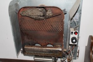 У меня были осы, что тоже больно :). так вот - выкурить их не получалось методом прогрева, гнездо забило полностью отводную трубу, зажёг, напустил температуры чуток - выгорел кислород - потухло.Ну сдохло несколько, обозлённых, летавших внутри, они и лежат снизу на фото. Морил их ровно неделю, сначала напустил дихлофоса на открытый конвектор, весело жужжа облепили меня всего, благо загерметизировался наподобии ОЗК (спасибо товарищ старший прапорщик за науку и тщательные внеплановые штрафные тренировки-пригодилось!), но укусила одна падла в руку, когда перчатки снимал уже, от визжащей жены проку не было, осмотра и дезактивации перед разоблачением не прошёл :) . Удалось собрать конвектор и отвоевать хотя бы холодную комнату. Вторым этапом было морить их снаружи, дождался ночи, устроил им "битву при Ипре" баллоном Дихлофоса, через отводную трубу. На следующий день думал всё. Ага! Слегка утомлённые, но радостно попёрли с утреца при открытии трубы на вылет, на охоту экземпляров сто, по-этому доза была утроена ночью. И так целую неделю. При повторном вскрытии оказалось ЧТО СДОХЛИ не все. Отступать было некуда, 5 летний младший сын у бабушки истерзал достаточно дедушку всем чем мог, и очень переживал за свои игрушки, а что если осы... Ощущенице, скажу я Вам, когда в этой мерзкой и гадкой липкой смеси ползает по тебе что-то ядовитое - незабываемо, ну и что что перчатки, пахнут то они даже в противогазе! Фу! Поборол таки! Причем буквально вчера после прогорания и очистки, с полной разборкой "газенустройства", некоторое количество останков ос было вновь обнаружено и торжественно, победоносно я бы сказал, утилизировано!