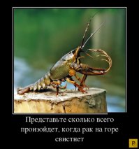 уже не массируют, они обучают рака художественному свисту.