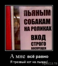 Прикольные картинки из сети