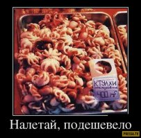 Прикольные картинки из сети