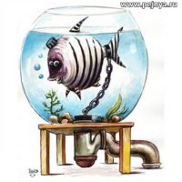 Так надёжней!