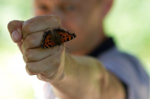 простое правило - если ты сильный помоги тому кто слабый . в темном переулке в драке за корку хлеба я б убил а в такой ситуации тоже спас бы . дари добро правильно