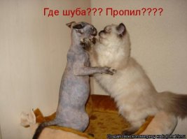 Зайка, я тебя люблю!