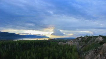 Лучший юный фотограф дикой природы 2014