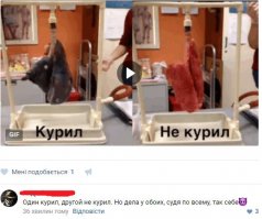 История никотина