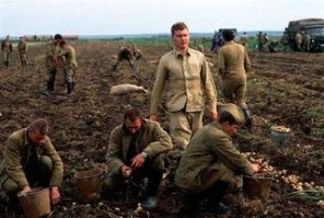 америкосы пришлют своих воинов помогать собирать картоху.Вот и все сотрудничество.