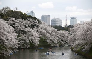 100 уличных фотографий Страны восходящего солнца, какой ее редко кто видел