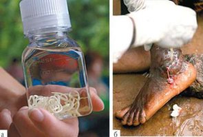 Без картинок не интересно...
А кто ест, я не виноват. Автор предупреждал...