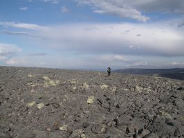 ЕЕЕЕ, есть у меня фотка того же места!:) И ещё добавлю "горных" оттуда же, а то автор их незаслуженно забыл:)