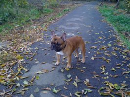 А это наш  Мэтюша!