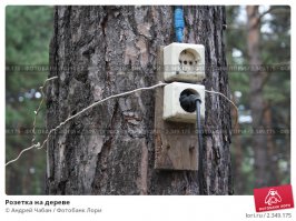 Последний раз ходили в поход со всеми прелестями цивилизации - два Приуса в компании, поэтому взяли всю необходимую электротехнику. Но самое смешное, что возле лагеря проходила ЛЭП и на дереве была рабочая розетка,  поэтому розетки в Приусах даже не задействовали.
ПС. Фото не моё, но выглядело примерно так же.