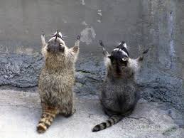 Свались на меня финансовое благополучие, накрой меня волной богатства и процветания