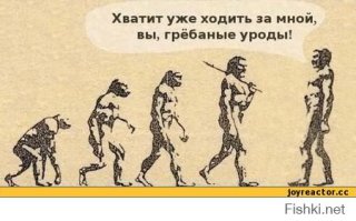 Кунсткамера
