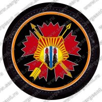 В тему. 14-я ОБрСпН.