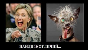 Крыса, застрявшая головой в мусорке, которая рассмешит вас до слёз