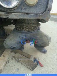 Свежая подборка автоприколов