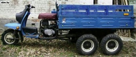 Нарыл в просторах тюнигн Муравья