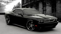 Больше нравится Dodge Challenger