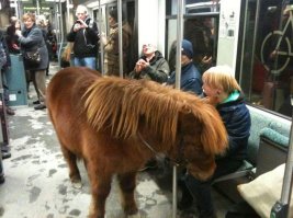 На кого полюбоваться в отечественном метро