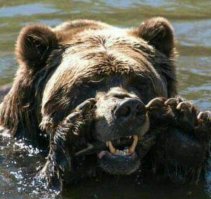 Да мы можем! Подойди ближе если веришь)))
