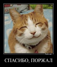 Подборка свежих демотиваторов