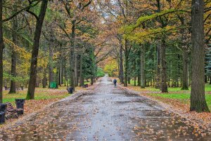 г.Москва ботанический сад.