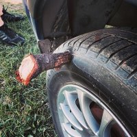 Однажды в Карелии вот такую дубину поймали в оболочку байдарки. Вот сюрприз был, когда на ночевку причалили:). Почти не протекало, но зашивать и клеить пришлось.