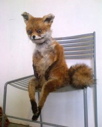 Всё равно вспомнят, так что...