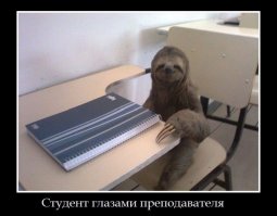 Суровая правда жизни)))