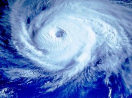 красиво, бохато!
НО в один прекрасный денёк вот такая херня нарисуется на горизонте

и привет родителям