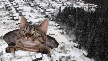 Дырка не от взрыва, это обвалившаяся кровля лавовой трубки. По краю не лунки, а куски породы, тёмные в инфракрасном спектре или тени от них. Это не осыпь, а пологий склон внутрь, к провалу.