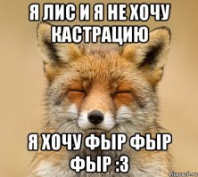 Лисья республика