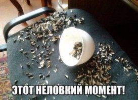 Моменты, в которые ты ненавидишь весь мир