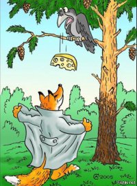 Лисья республика