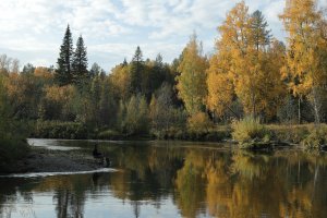Чай не в Америках живем