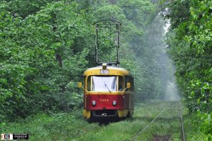 Первая понравилась... Эта тоже ничего имхо