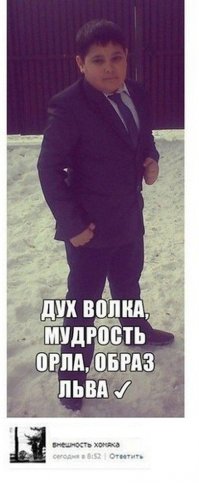 Смешные комментарии из соц. сетей