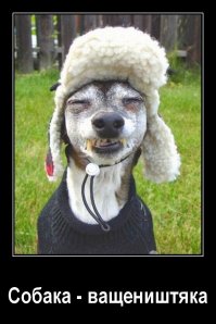 Фотоподборка за 26.10.2016