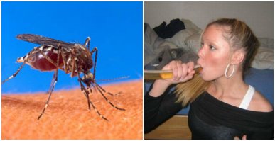 напомнило..
-Девушка вы вампир?
-Ну так сосу иногда.